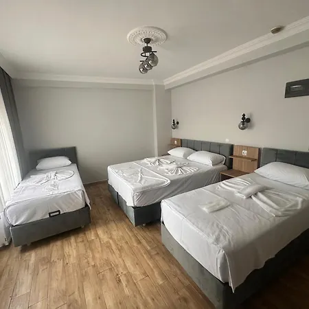 Avka Palace מלון *