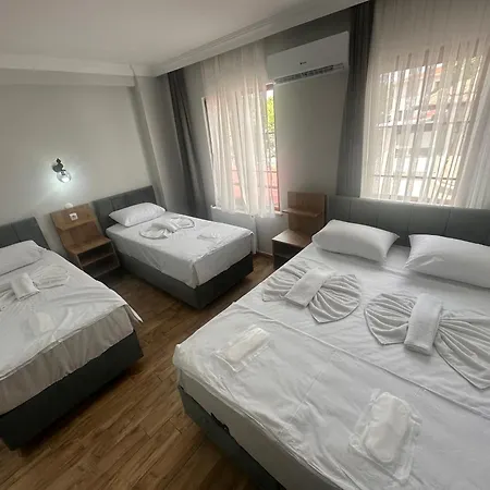Avka Palace מלון *
