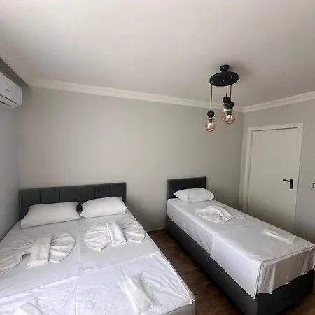 Avka Palace فندق أديرني